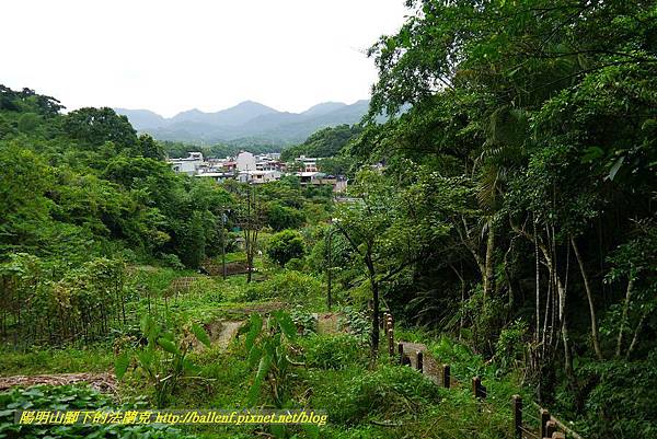 P1360652.jpg P1360652.jpg