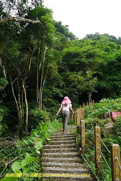 P1360651.jpg P1360651.jpg