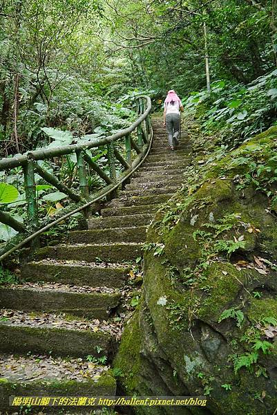 P1360657.jpg P1360657.jpg