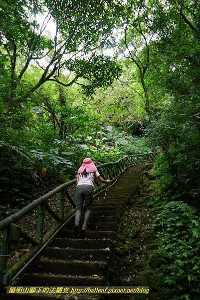 P1360658.jpg P1360658.jpg