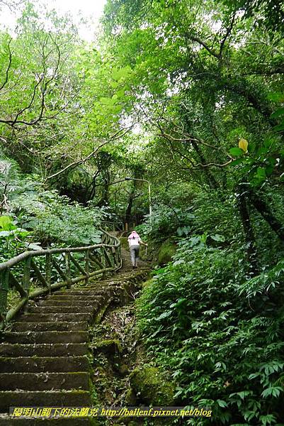 P1360659.jpg P1360659.jpg