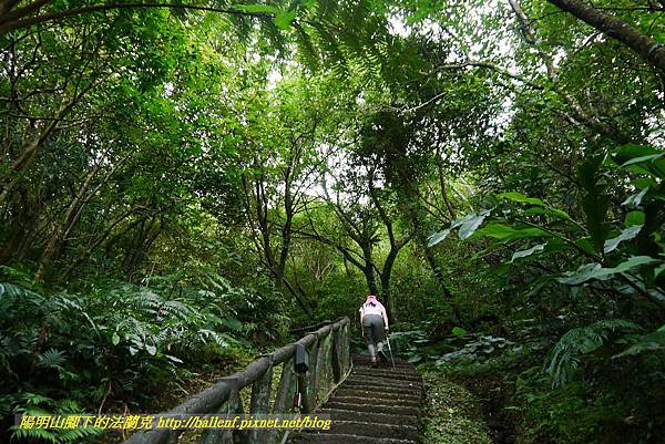 P1360661.jpg P1360661.jpg