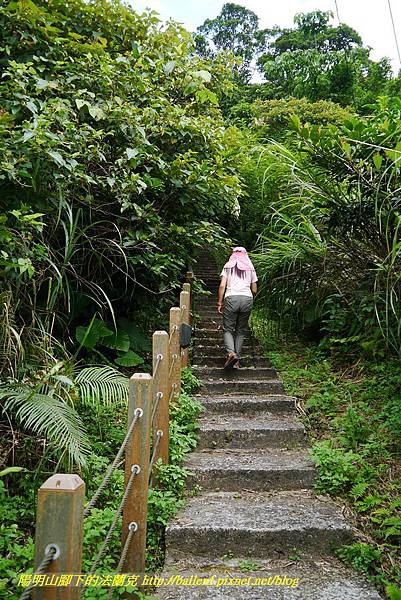 P1360666.jpg P1360666.jpg