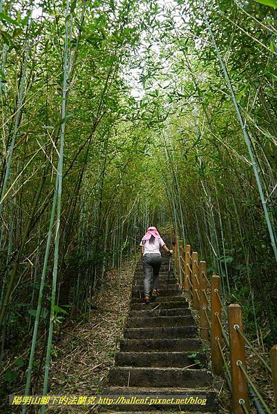 P1360669.jpg P1360669.jpg