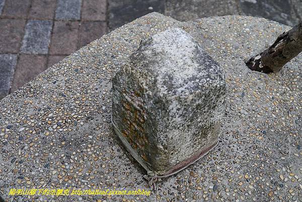 P1360674.jpg P1360674.jpg