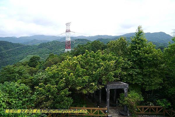 P1360677.jpg P1360677.jpg