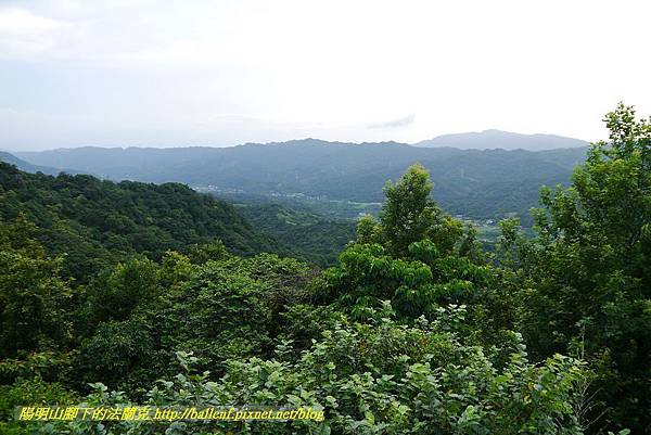 P1360682.jpg P1360682.jpg