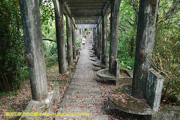 P1360691.jpg P1360691.jpg