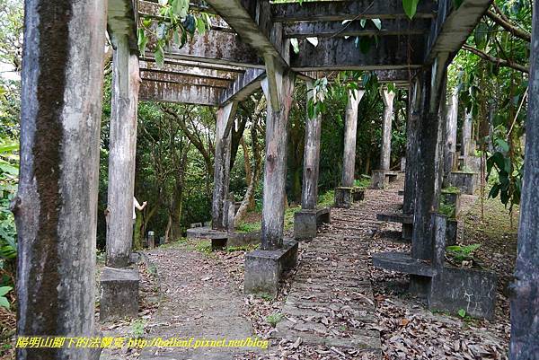 P1360692.jpg P1360692.jpg