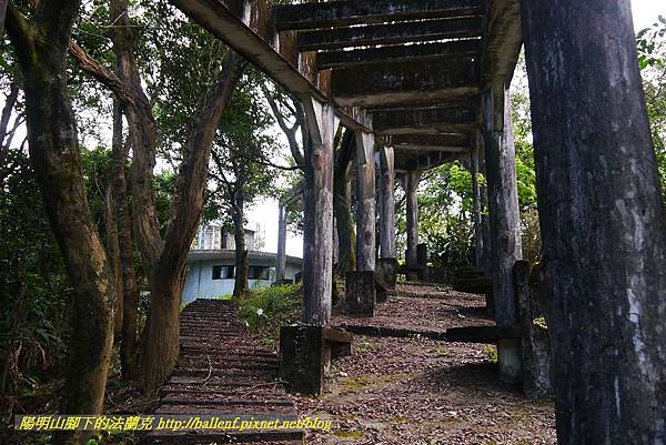 P1360693.jpg P1360693.jpg