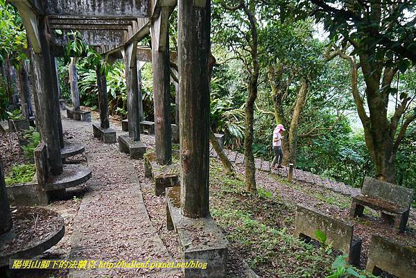 P1360695.jpg P1360695.jpg