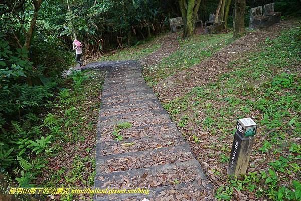 P1360696.jpg P1360696.jpg