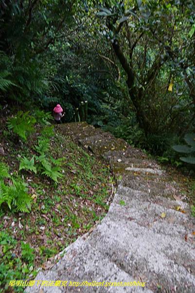 P1360699.jpg P1360699.jpg