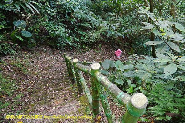 P1360700.jpg P1360700.jpg