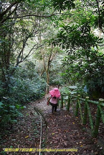 P1360702.jpg P1360702.jpg