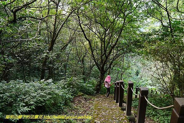 P1360709.jpg P1360709.jpg