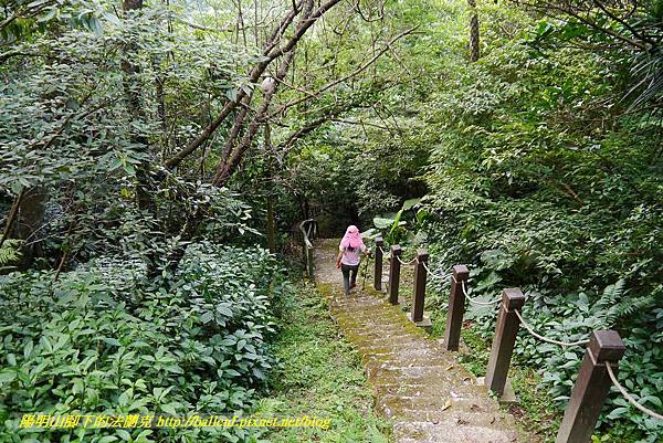 P1360710.jpg P1360710.jpg