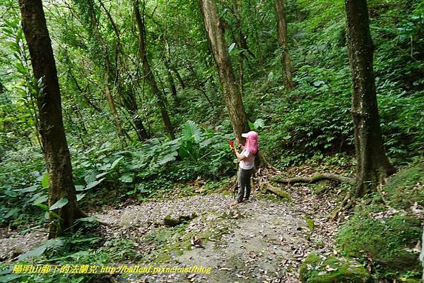 P1360715.jpg P1360715.jpg