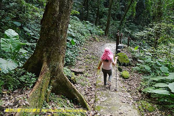 P1360716.jpg P1360716.jpg