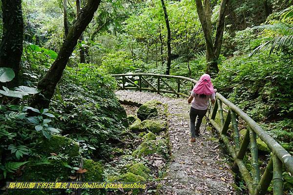 P1360717.jpg P1360717.jpg