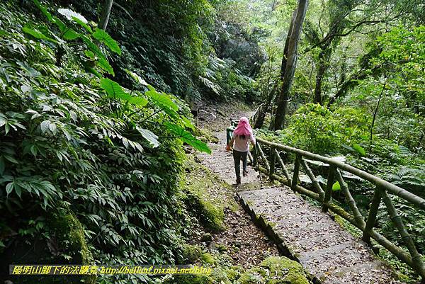 P1360718.jpg P1360718.jpg