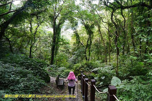 P1360719.jpg P1360719.jpg