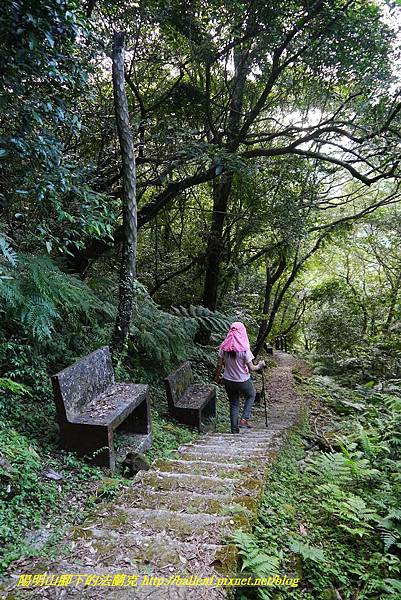 P1360720.jpg P1360720.jpg