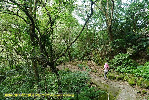 P1360721.jpg P1360721.jpg