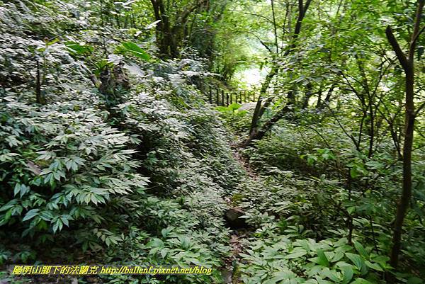 P1360722.jpg P1360722.jpg