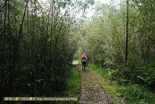 P1360725.jpg P1360725.jpg