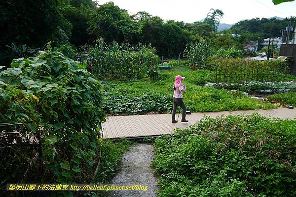 P1360726.jpg P1360726.jpg