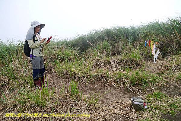 P1370138.jpg P1370138.jpg