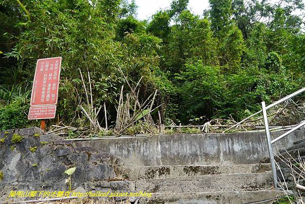 P1370677.jpg P1370677.jpg