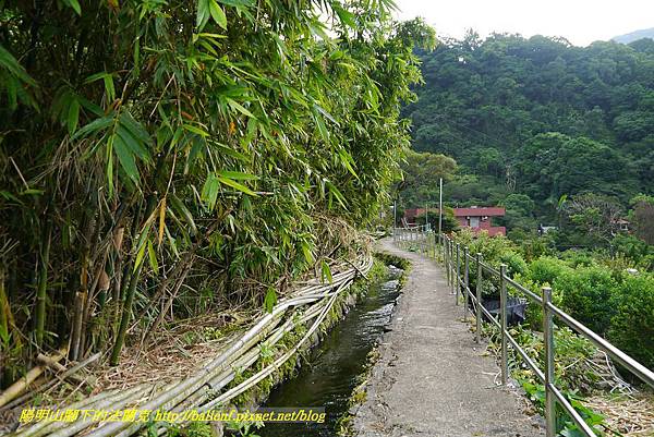 P1370678.jpg P1370678.jpg