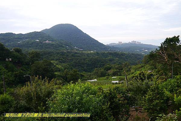 P1370679.jpg P1370679.jpg