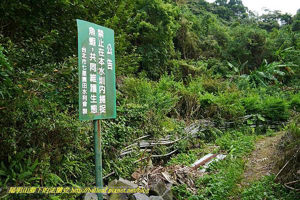 P1370681.jpg P1370681.jpg