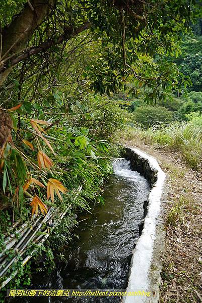 P1370682.jpg P1370682.jpg