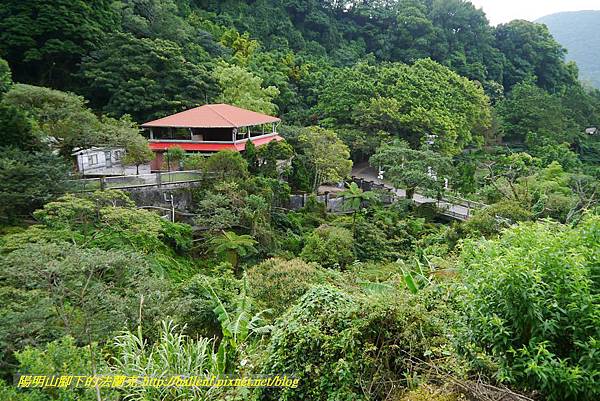 P1370683.jpg P1370683.jpg