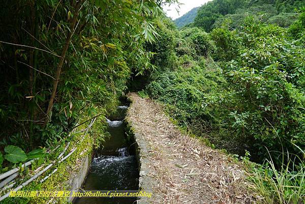 P1370684.jpg P1370684.jpg