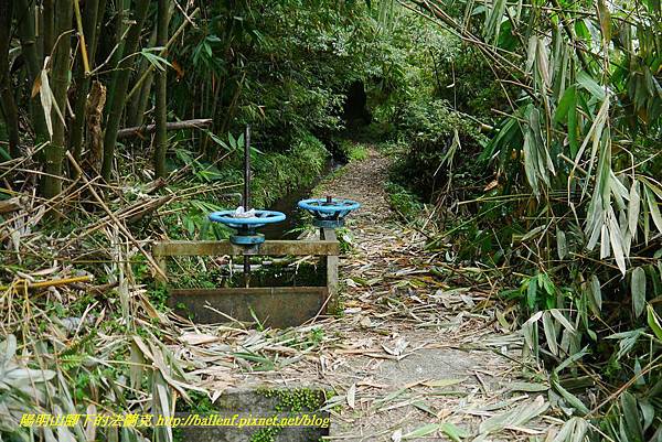 P1370685.jpg P1370685.jpg