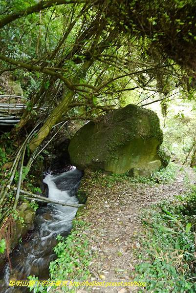 P1370686.jpg P1370686.jpg