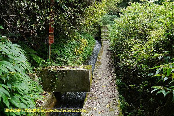 P1370687.jpg P1370687.jpg