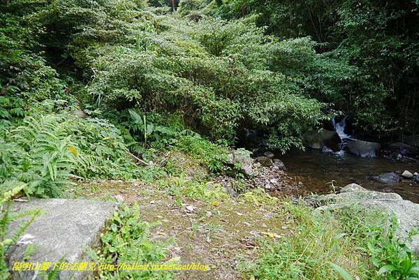 P1370688.jpg P1370688.jpg