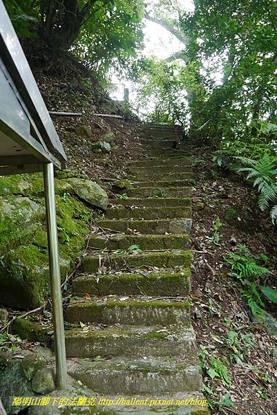 P1370695.jpg P1370695.jpg