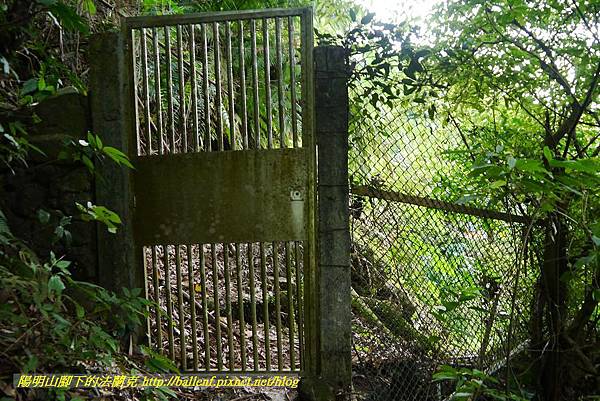 P1370696.jpg P1370696.jpg