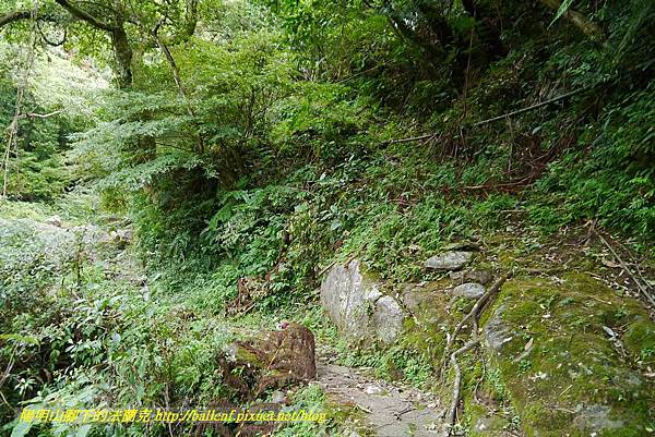 P1370699.jpg P1370699.jpg