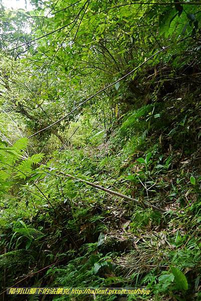 P1370700.jpg P1370700.jpg