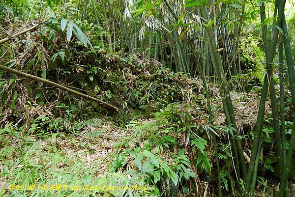 P1370703.jpg P1370703.jpg