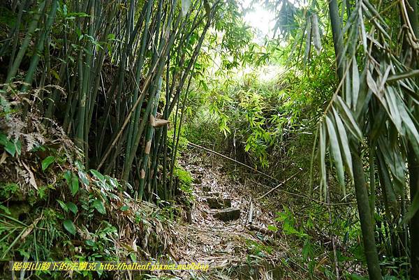 P1370704.jpg P1370704.jpg