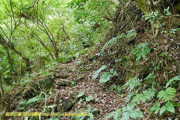 P1370706.jpg P1370706.jpg